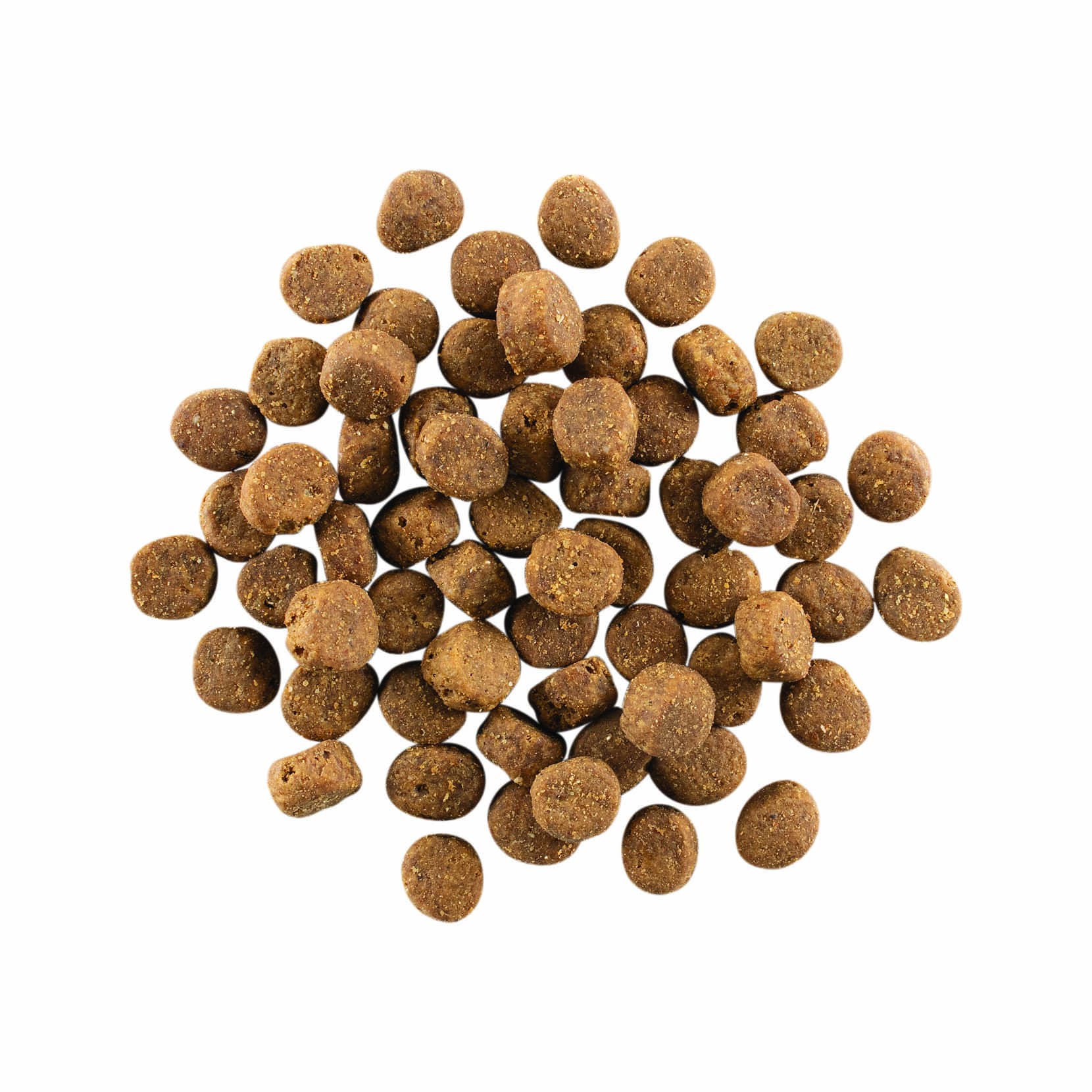 GO! CARNIVORE Grain Free Salmon + Cod Recipe for Dogs 