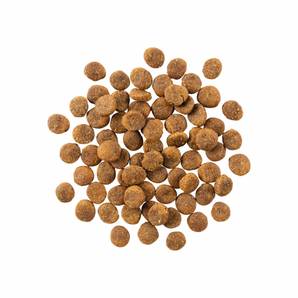 GO! SENSITIVITIES Limited Ingredient Grain Free Duck Recipe for Dogs