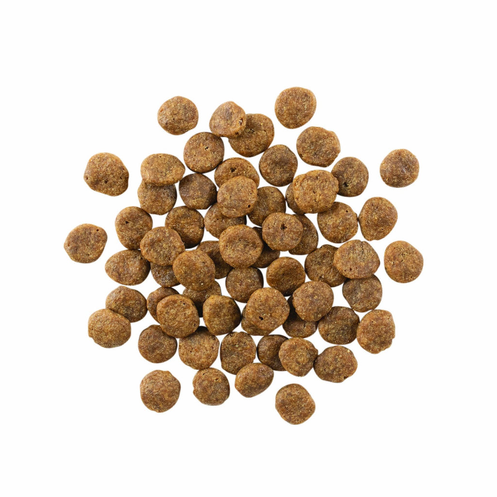 GO! SENSITIVITIES Small Bites Limited Ingredient Grain Free Salmon Recipe for Dogs