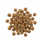 GO! SENSITIVITIES Small Bites Limited Ingredient Grain Free Salmon Recipe for Dogs