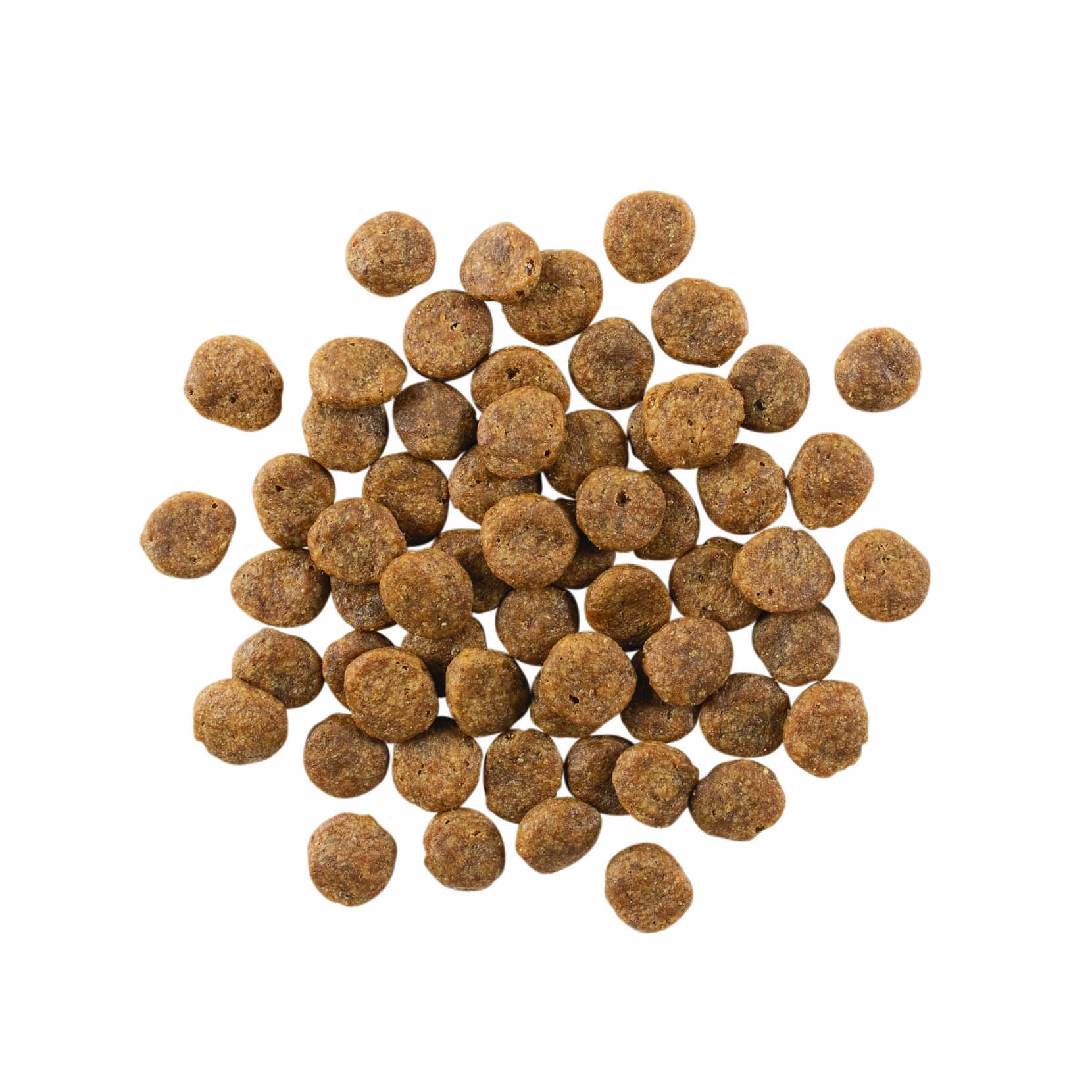 GO! SENSITIVITIES Small Bites Limited Ingredient Grain Free Salmon Recipe for Dogs