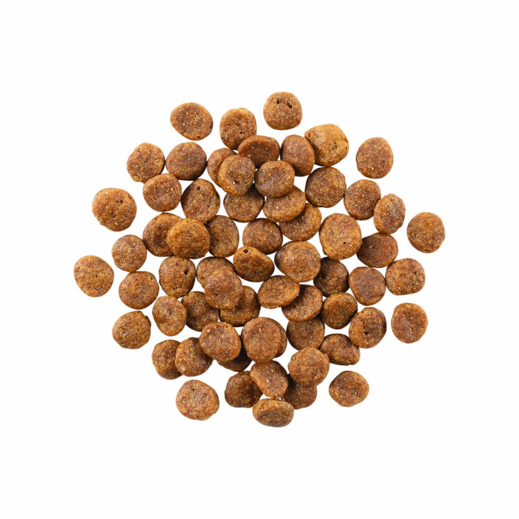 GO! SENSITIVITIES Limited Ingredient Grain Free Turkey Recipe for Dogs