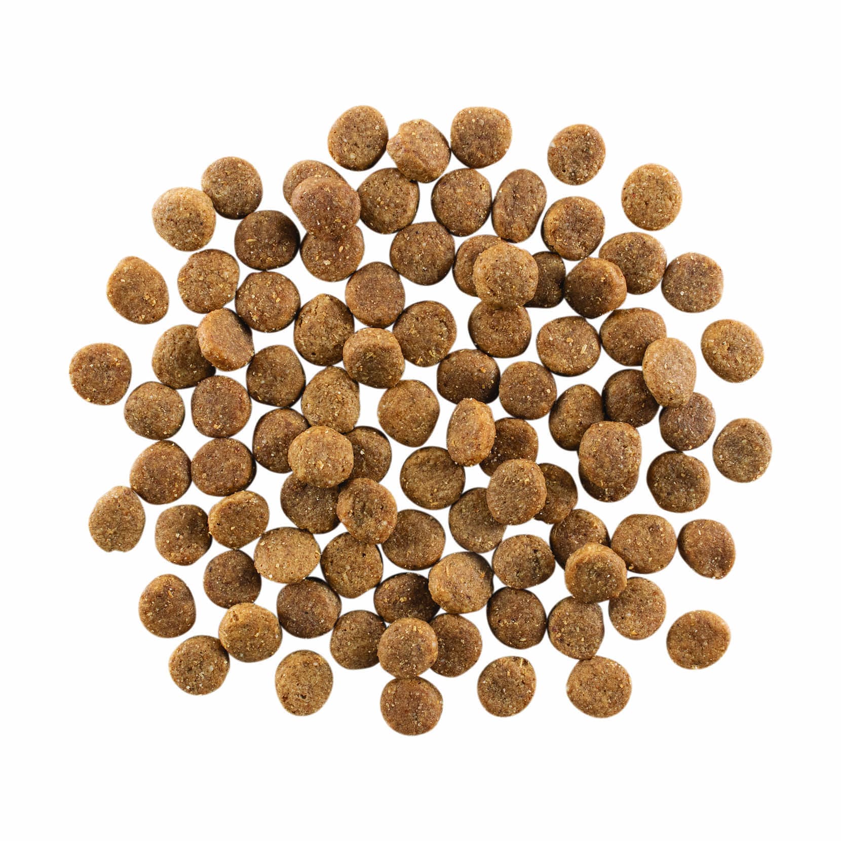 GO! SKIN + COAT CARE Chicken Recipe With Grains  for Dogs