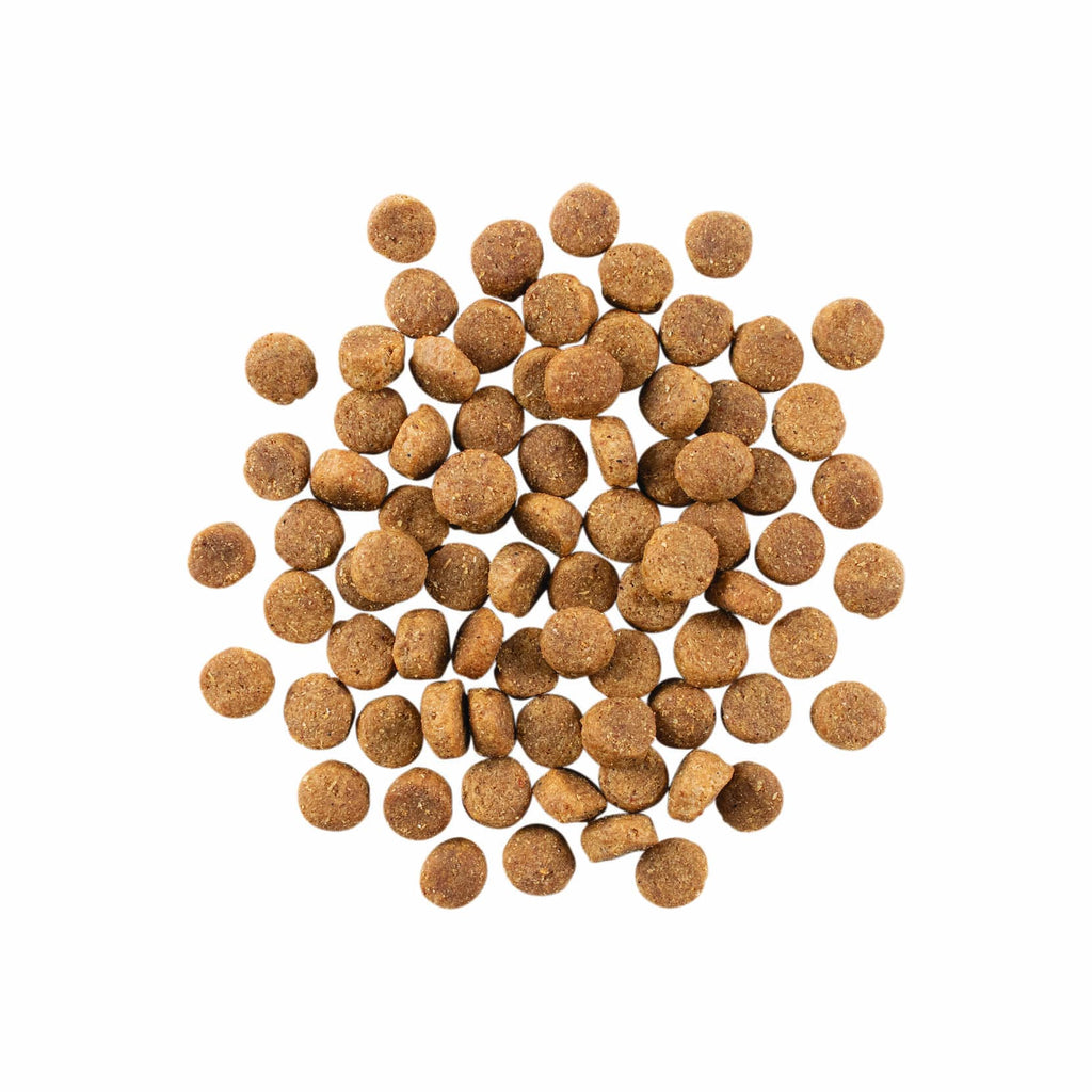 GO! SKIN + COAT CARE Duck Recipe With Grains for Dogs