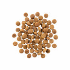 GO! SKIN + COAT CARE Duck Recipe With Grains for Dogs