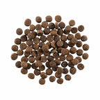 GO! SKIN + COAT CARE Lamb Recipe With Grains for Dogs