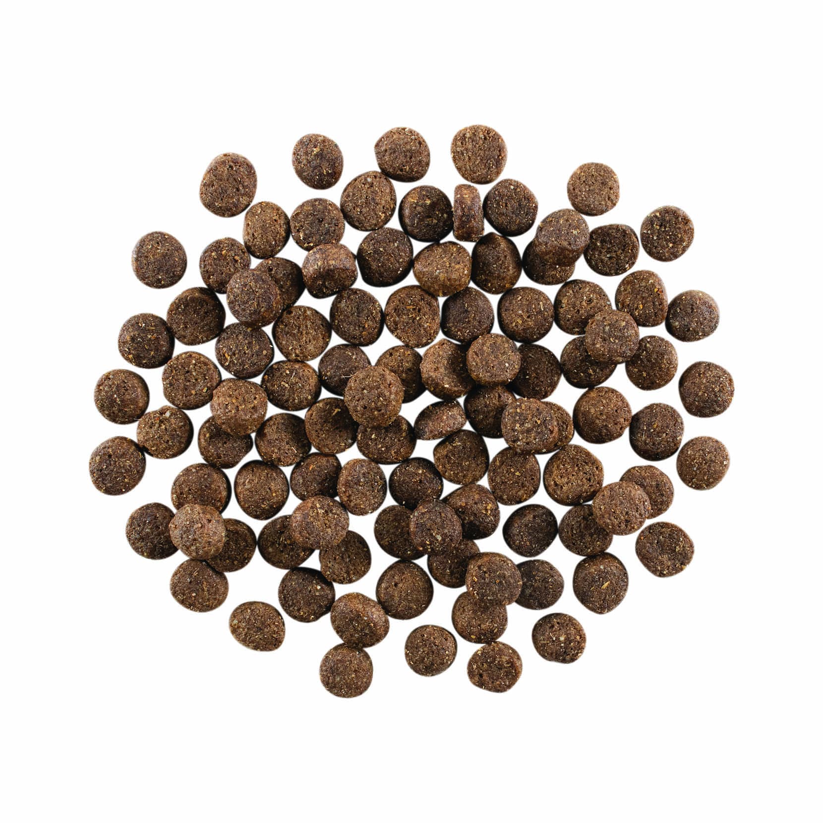 GO! SKIN + COAT CARE Lamb Recipe With Grains for Dogs