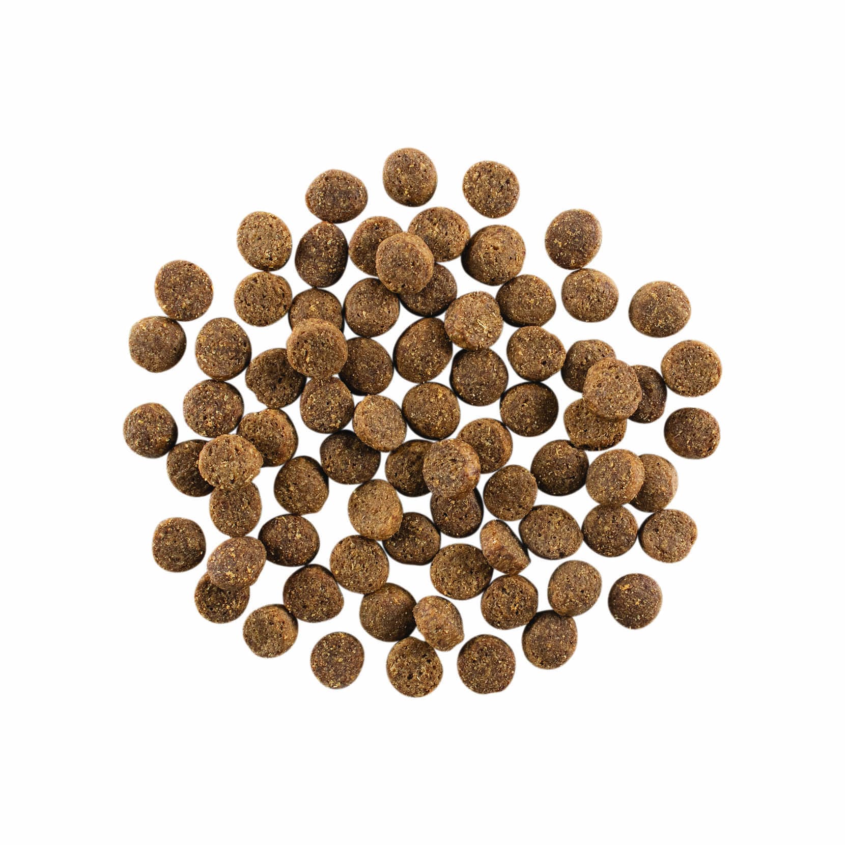 GO! SKIN + COAT CARE Salmon Recipe With Grains for Dogs