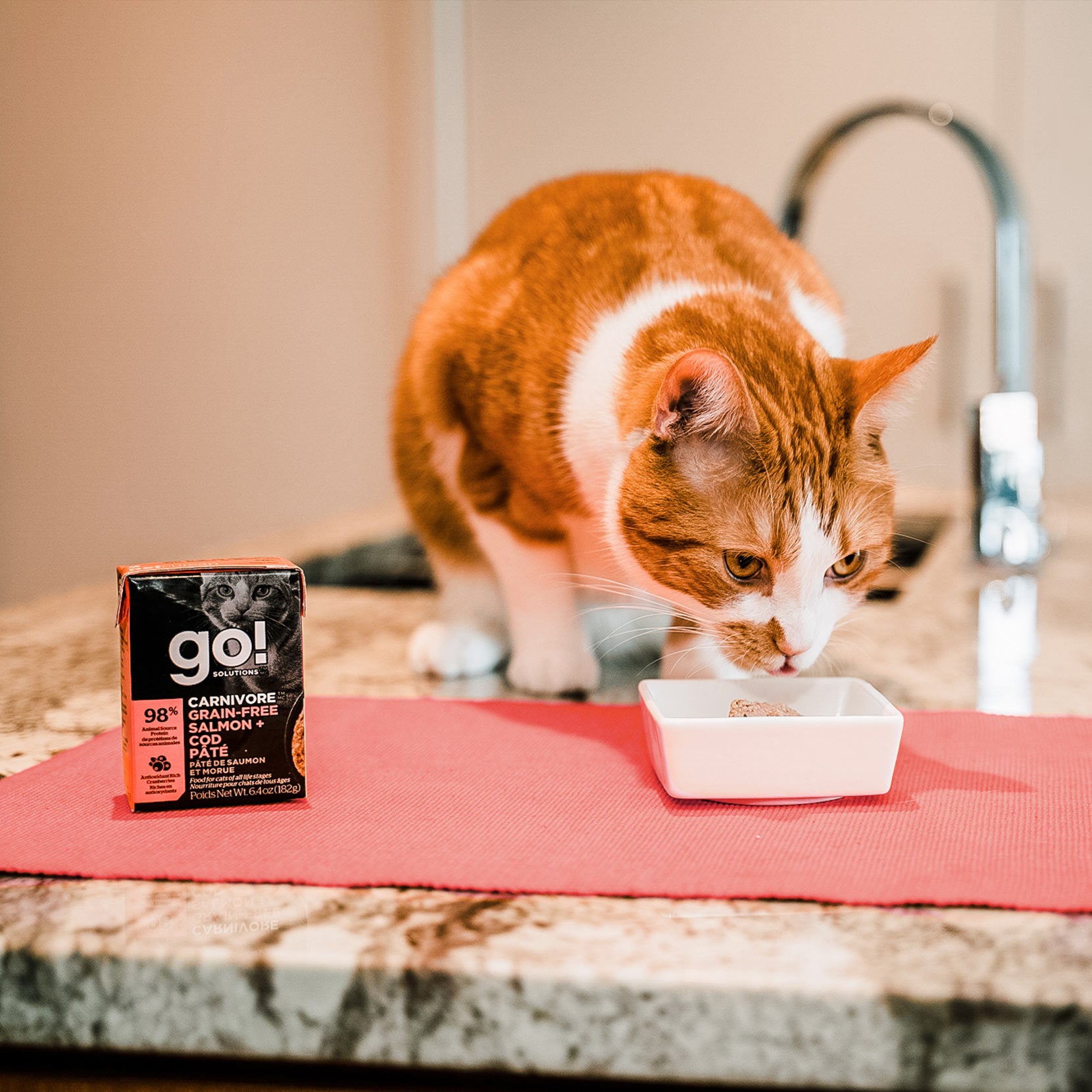 GO! CARNIVORE Grain Free Salmon + Cod Pâté for Cats