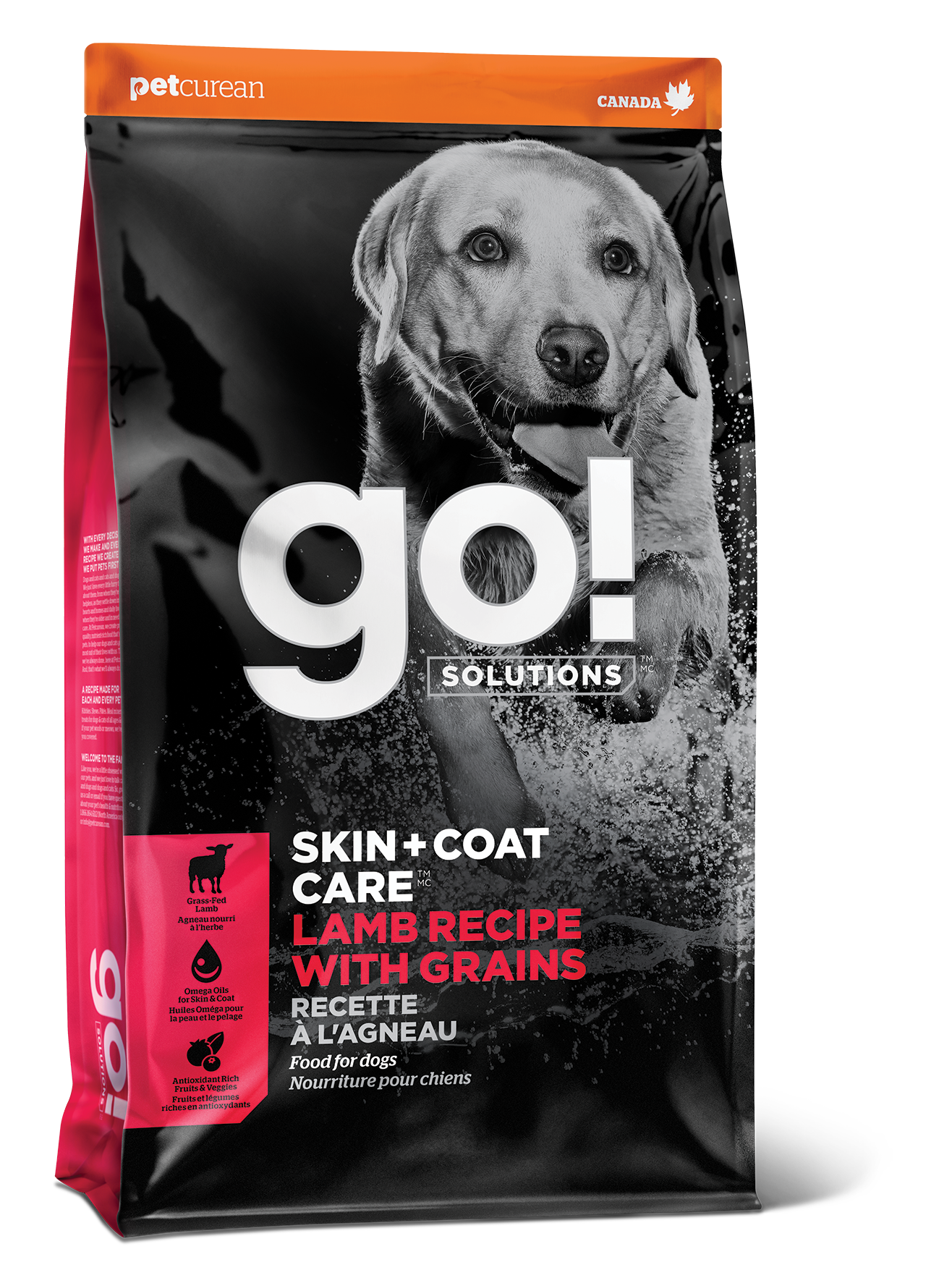 GO! SKIN + COAT CARE Lamb Recipe With Grains for Dogs