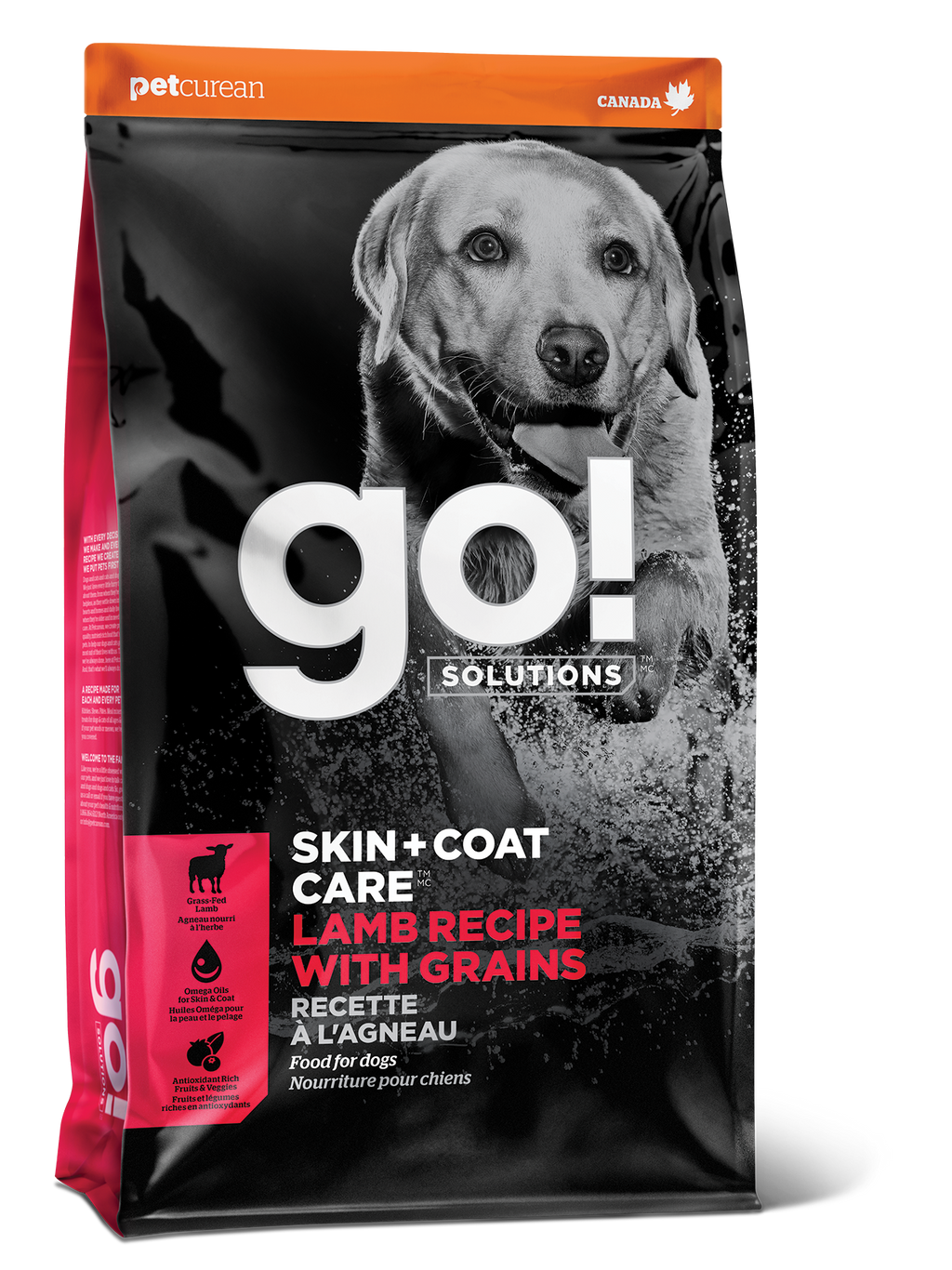 GO! SKIN + COAT CARE Lamb Recipe With Grains for Dogs