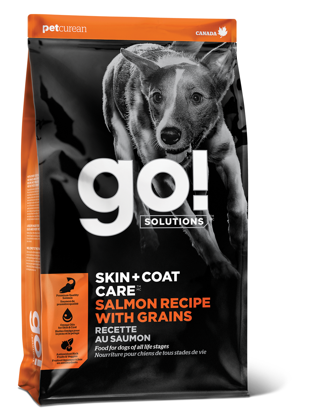 GO! SKIN + COAT CARE Salmon Recipe With Grains for Dogs
