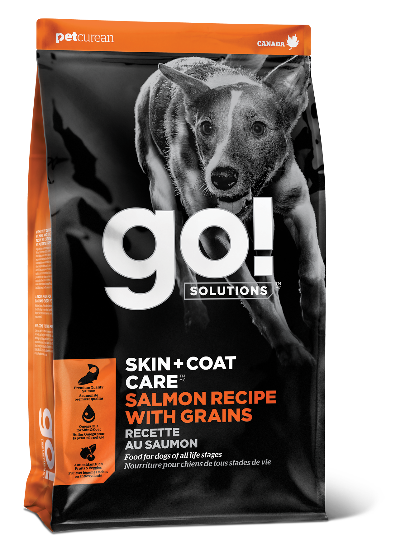 GO! SKIN + COAT CARE Salmon Recipe With Grains for Dogs