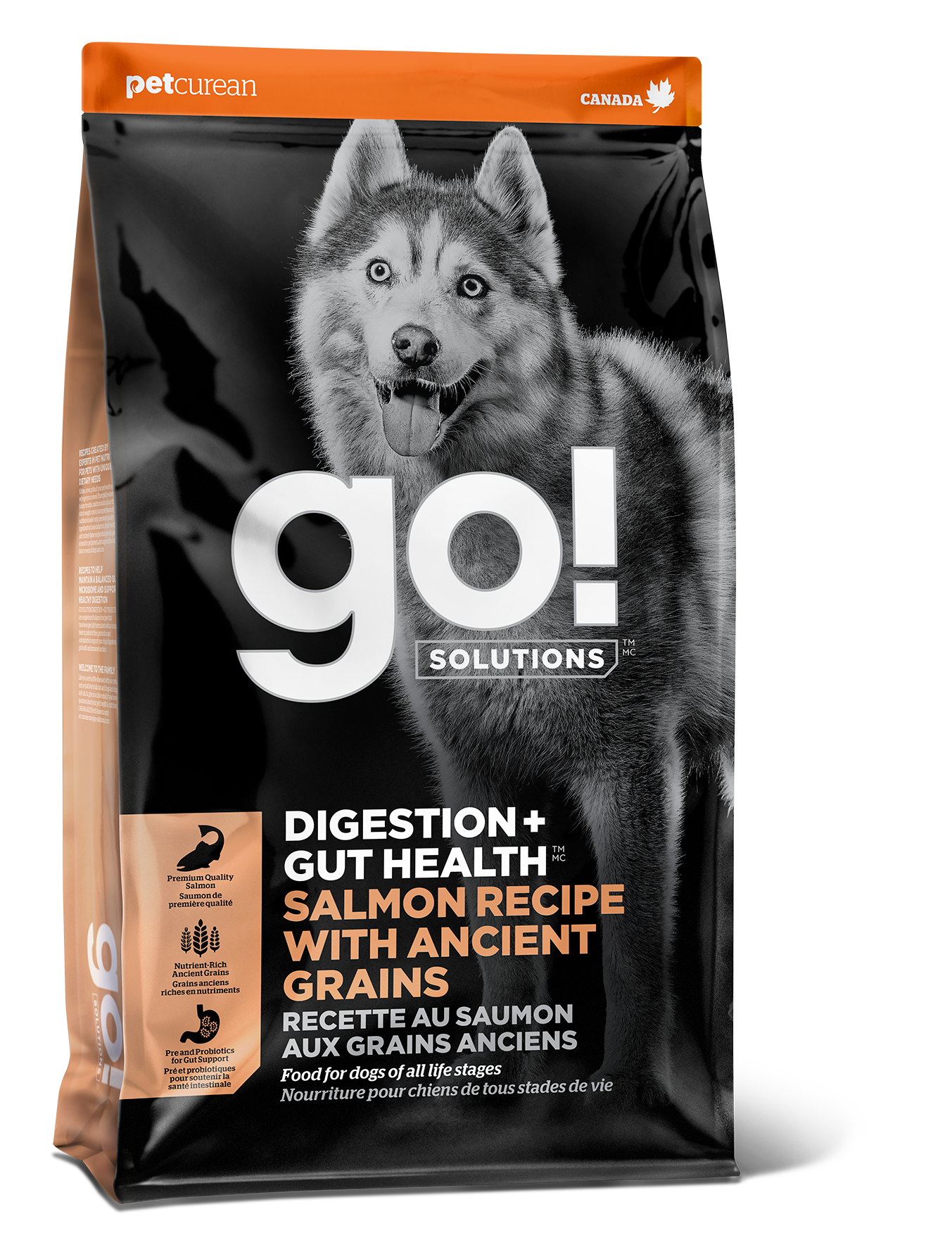 GO! DIGESTION + GUT HEALTH Salmon Recipe With Ancient Grains