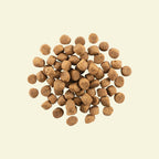 NOW FRESH Turkey, Salmon & Duck Grain Free Adult Recipe