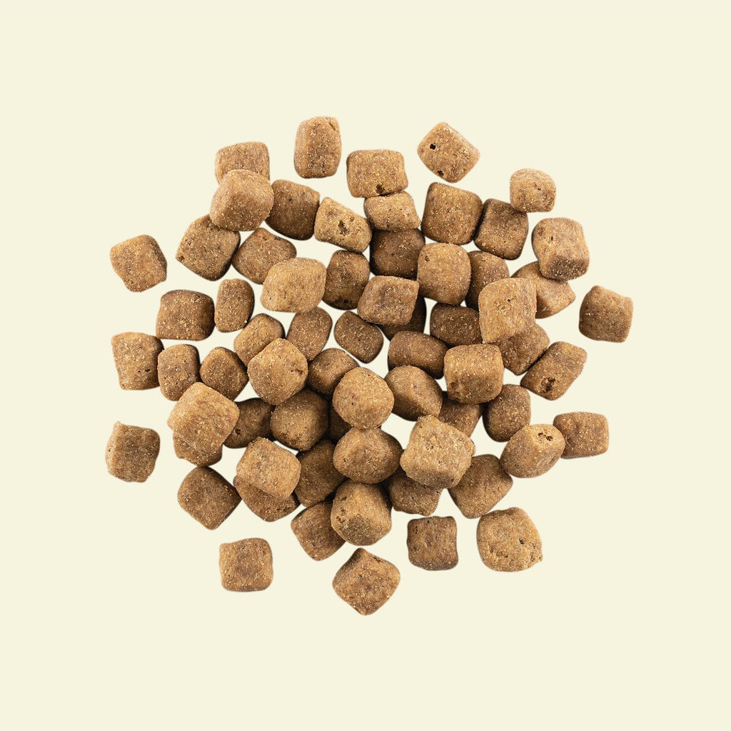 NOW FRESH Turkey, Salmon & Duck Grain Free Large Breed Puppy Recipe
