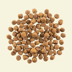 NOW FRESH Lamb & Pork Grain Free Red Meat Adult Recipe