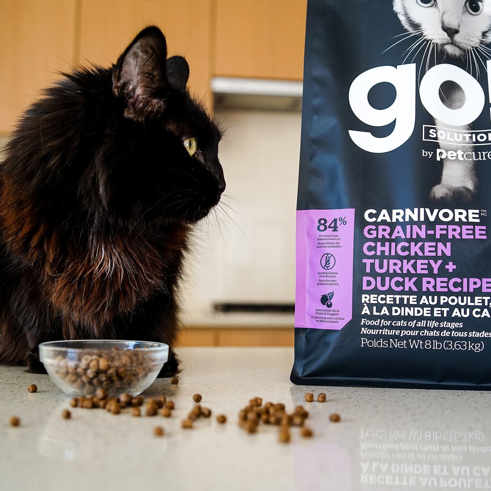 GO! CARNIVORE Grain Free Chicken, Turkey + Duck Recipe for Cats 