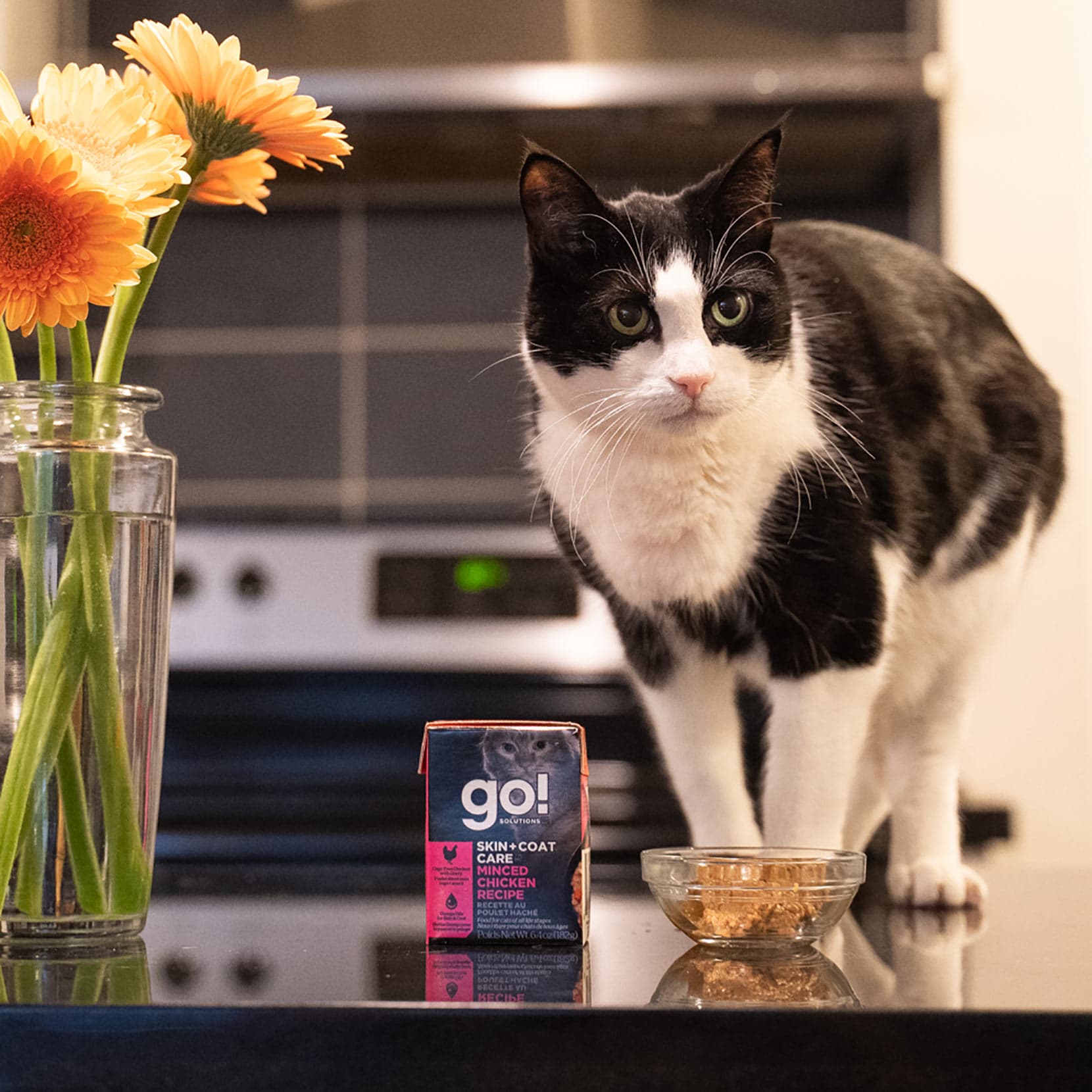 GO! SKIN + COAT CARE Minced Chicken Recipe With Grains for Cats