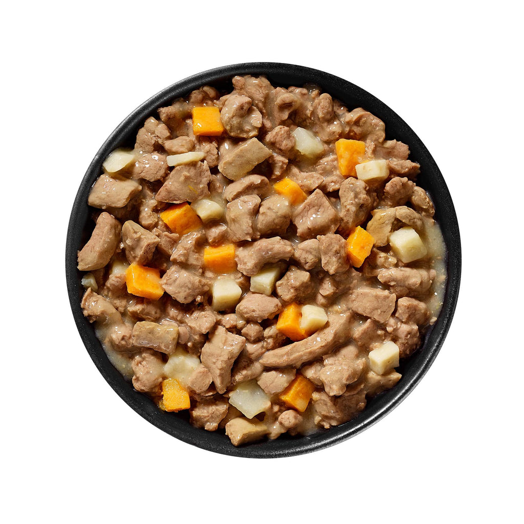 GO! CARNIVORE Grain Free Shredded Lamb + Wild Boar Recipe for Dogs 