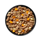 GO! CARNIVORE Grain Free Shredded Lamb + Wild Boar Recipe for Dogs 