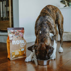 NOW FRESH Turkey, Salmon & Duck Grain Free Puppy Recipe