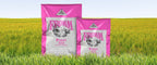Fromm® Family Classic Puppy