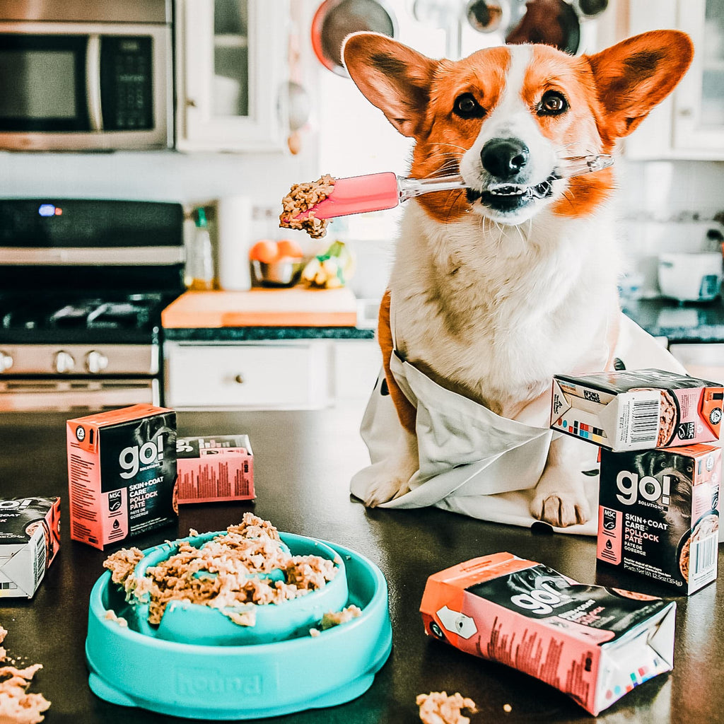 GO! SKIN + COAT CARE Pollock Pâté for Dogs 