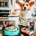 GO! SKIN + COAT CARE Pollock Pâté for Dogs 