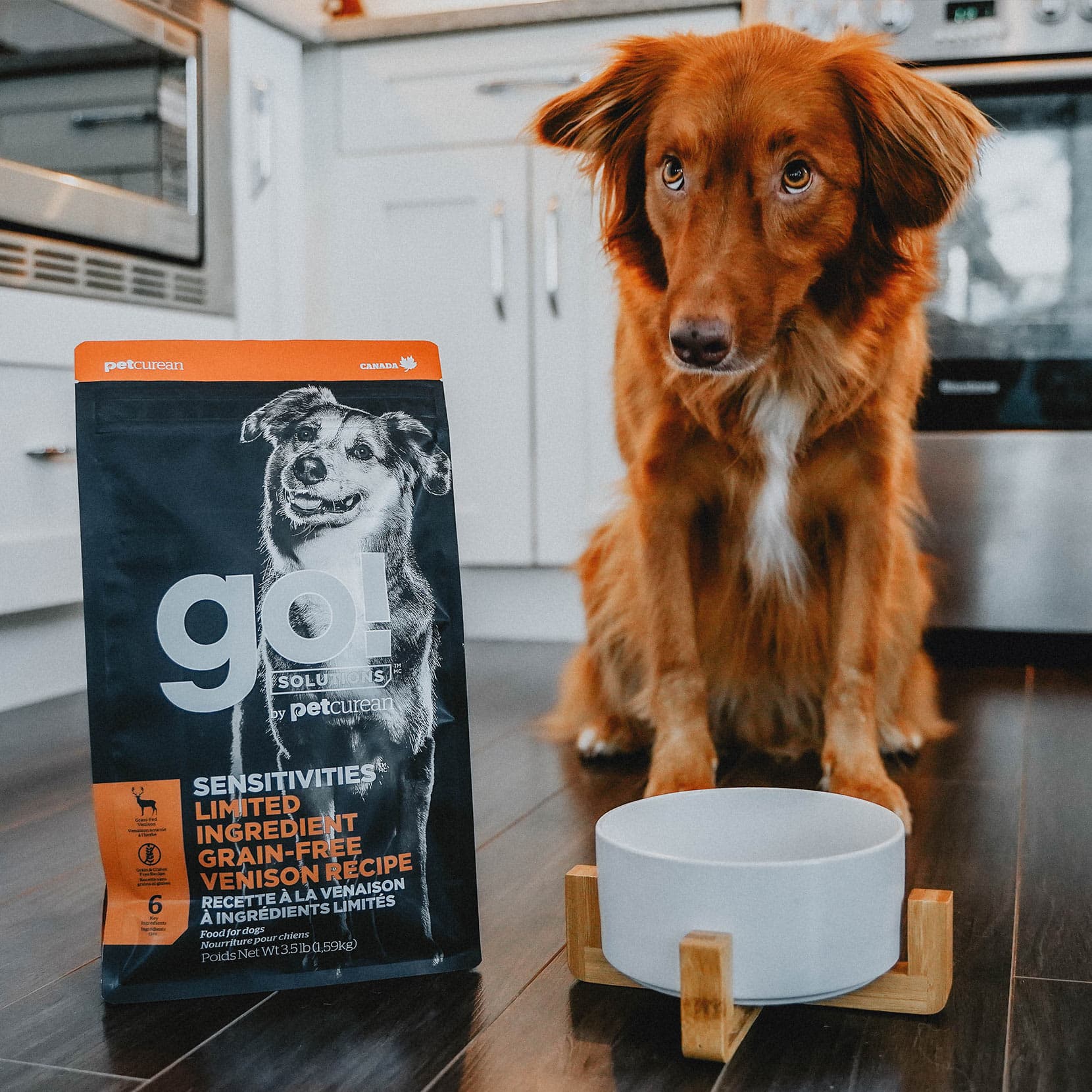 GO! SENSITIVITIES Limited Ingredient Grain Free Venison Recipe for Dogs