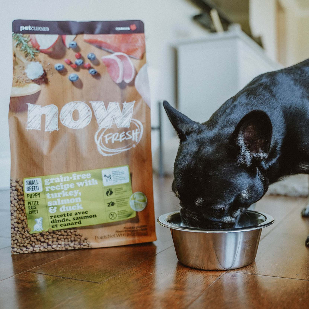 NOW FRESH Turkey, Salmon & Duck Grain Free Small Breed Puppy Recipe