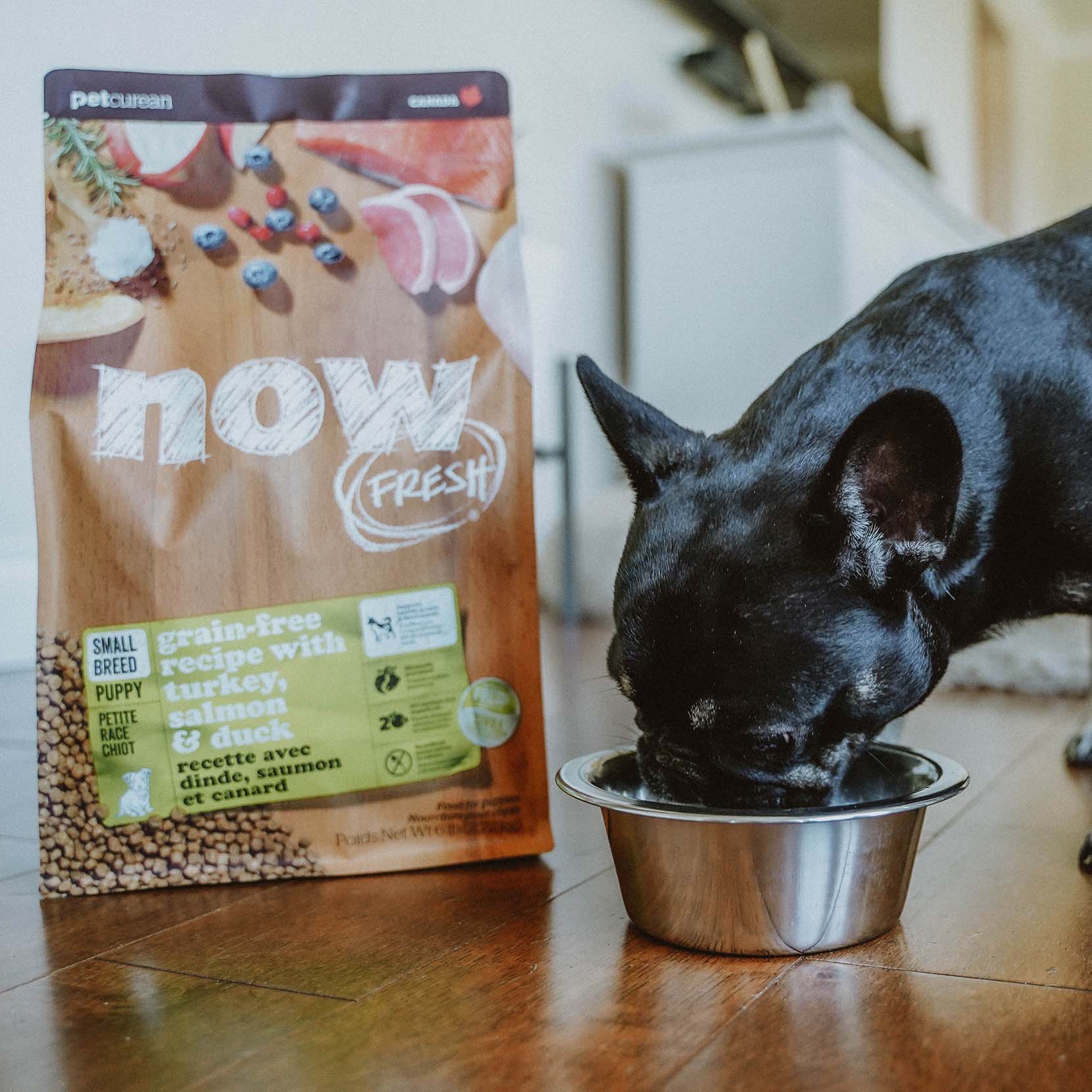 NOW FRESH Turkey, Salmon & Duck Grain Free Small Breed Puppy Recipe