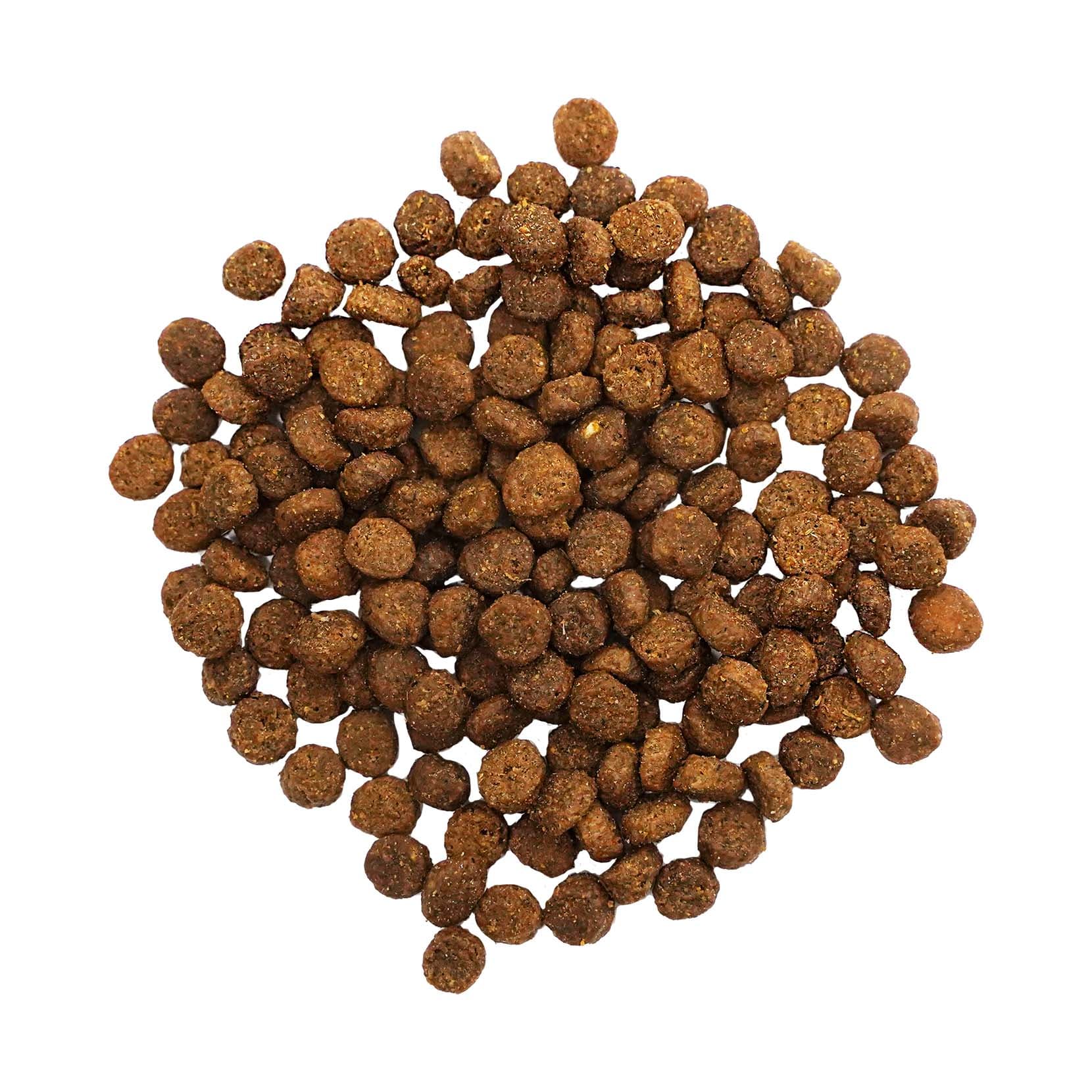 GO! DIGESTION + GUT HEALTH Salmon Recipe With Ancient Grains