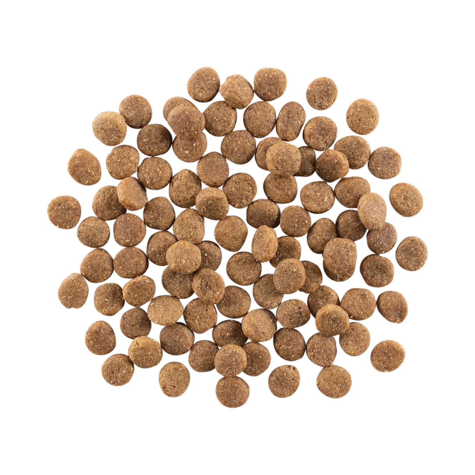 GO! WEIGHT MANAGEMENT + JOINT CARE Grain Free Chicken Recipe for Dogs