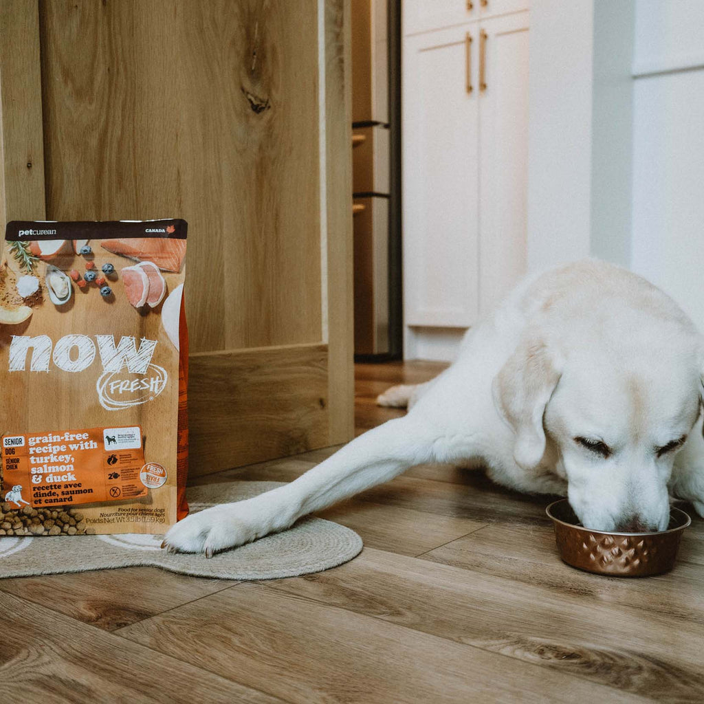 NOW FRESH Turkey, Salmon & Duck Grain Free Senior Recipe