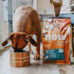 NOW FRESH Turkey, Salmon & Duck Grain Free Large Breed Adult Recipe