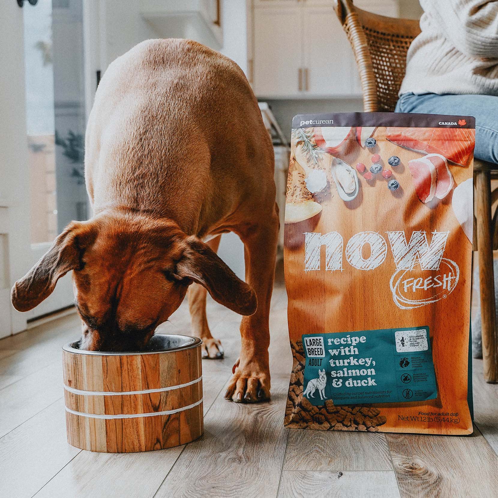 NOW FRESH Turkey, Salmon & Duck Grain Free Large Breed Adult Recipe