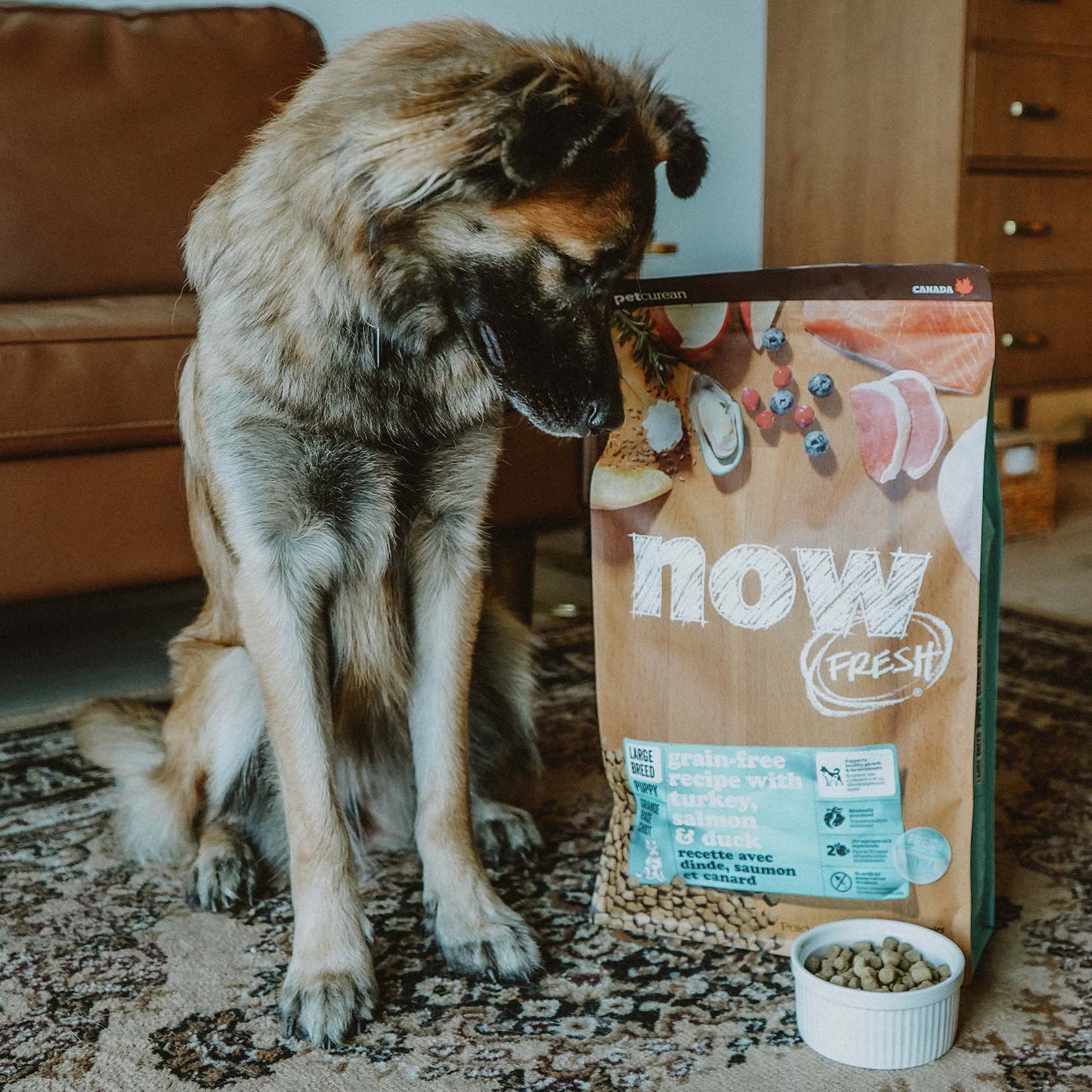 NOW FRESH Turkey, Salmon & Duck Grain Free Large Breed Puppy Recipe