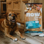 NOW FRESH Turkey, Salmon & Duck Grain Free Large Breed Senior Recipe