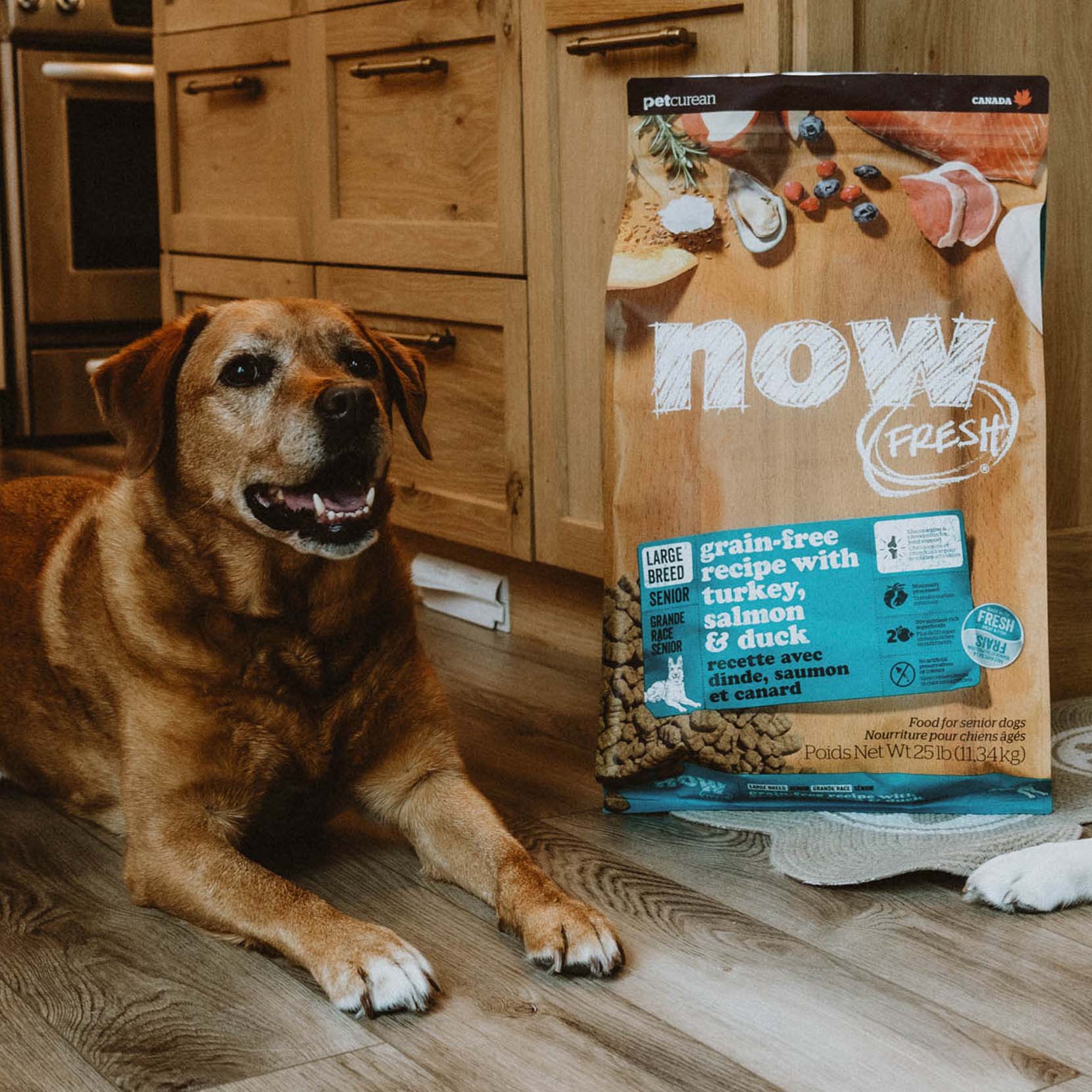 NOW FRESH Turkey, Salmon & Duck Grain Free Large Breed Senior Recipe