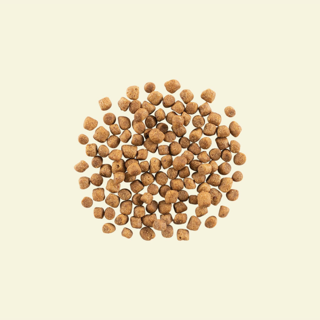 NOW FRESH Turkey, Salmon & Duck Grain Free Small Breed Puppy Recipe