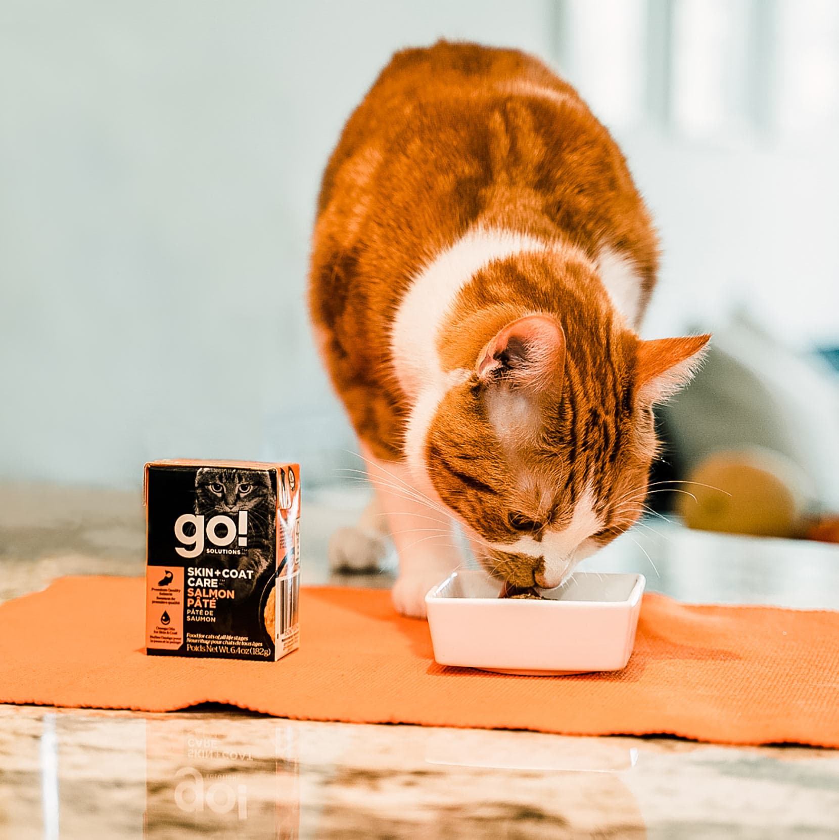 GO! SKIN + COAT CARE Salmon Pâté With Grains for Cats