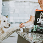 GO! SKIN + COAT CARE Turkey Recipe with Grains for Dogs