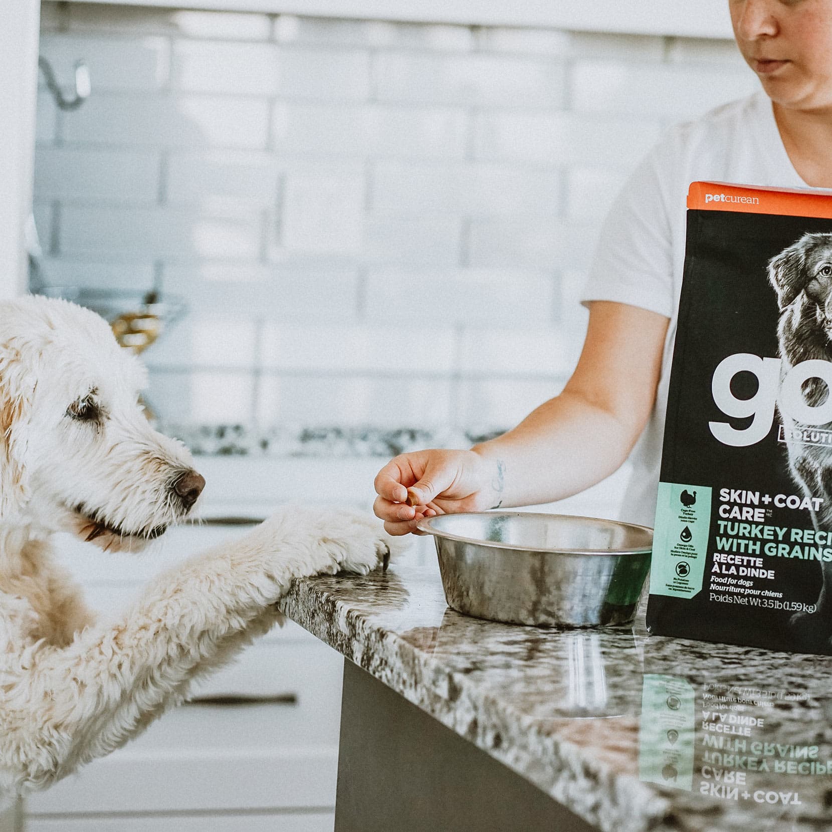 GO! SKIN + COAT CARE Turkey Recipe with Grains for Dogs