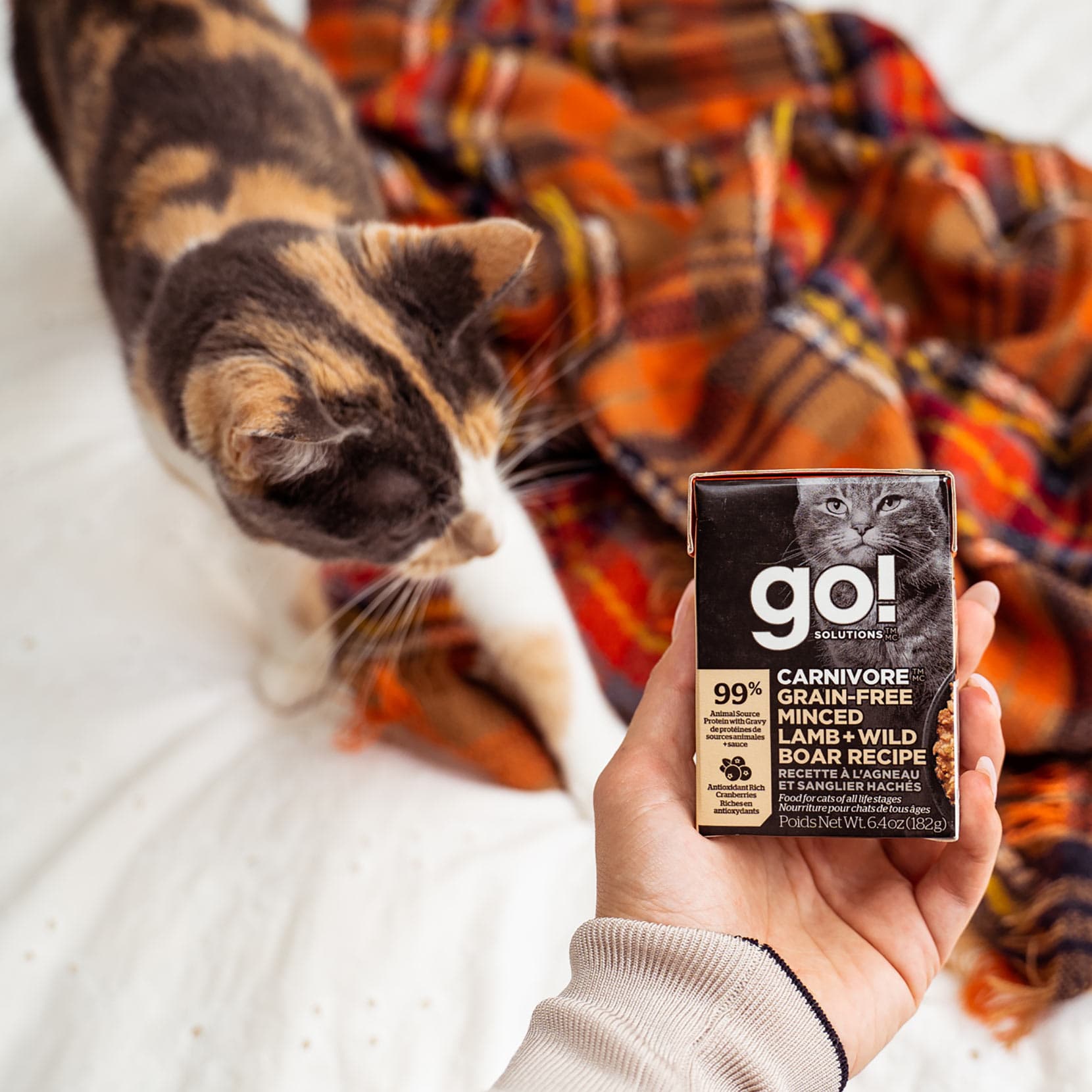 GO! CARNIVORE Grain Free Minced Lamb + Wild Boar Recipe for Cats 