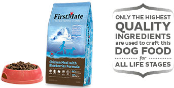 Grain Free Chicken Meal with Blueberries Formula Small Bites