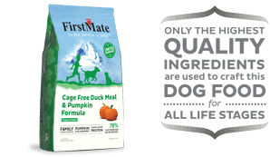 Grain Free Cage Free Duck Meal & Pumpkin Formula
