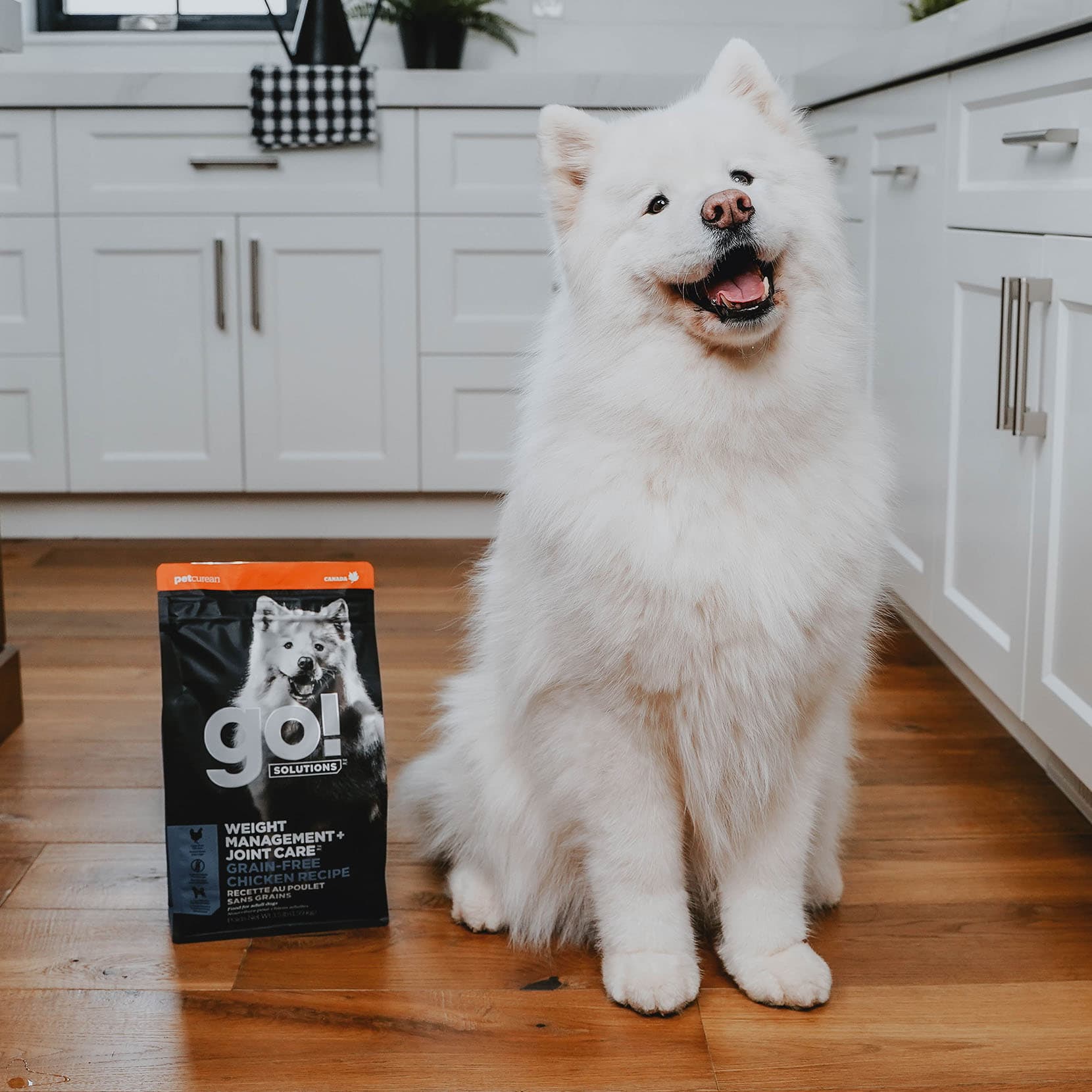 GO! WEIGHT MANAGEMENT + JOINT CARE Grain Free Chicken Recipe for Dogs