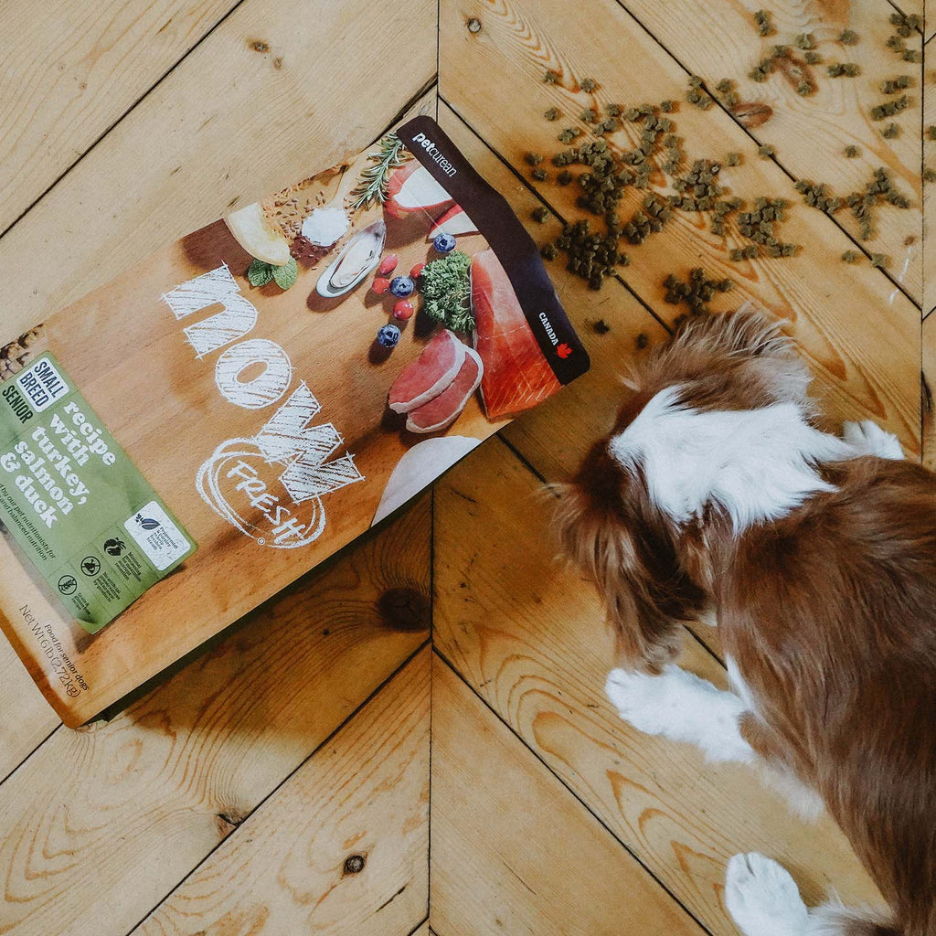 NOW FRESH Turkey, Salmon & Duck Grain Free Small Breed Senior Recipe