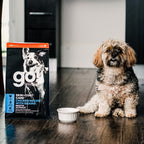 GO! SKIN + COAT CARE Chicken Recipe With Grains  for Dogs